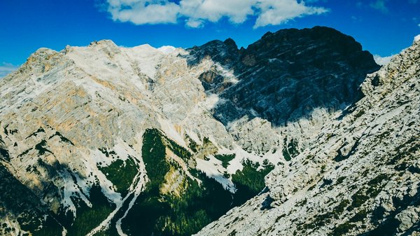 Quels sont les meilleurs spots pour observer les manchots en Nouvelle-Zélande?