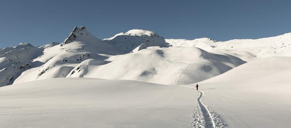Où peut-on louer une cabane en Suisse avec des excursions pour observer les glaciers?